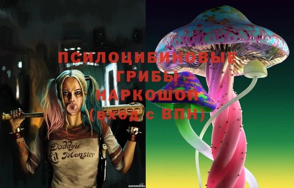 ПСИЛОЦИБИНОВЫЕ ГРИБЫ Алзамай